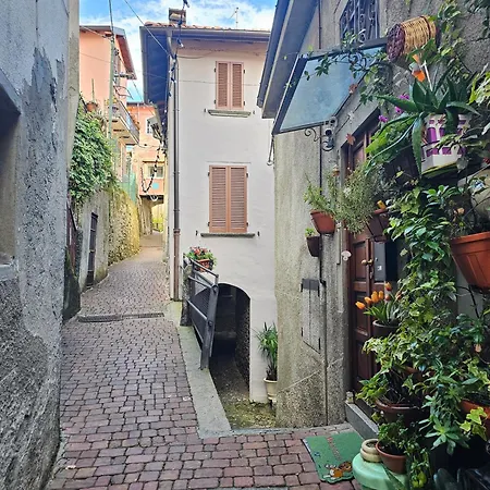 La Terrazza Sul Di Con Garage アパート ブレーヴィオ